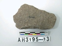 藏品(小型舌刃打製石斧)的圖片